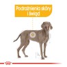 ROYAL CANIN Maxi Dermacomfort karma sucha dla psów dorosłych, ras dużych, o wrażliwej skórze, skłonnej do podrażnień 3 kg
