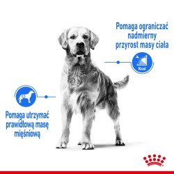 ROYAL CANIN Maxi Light Weight Care karma sucha dla psów dorosłych ras dużych, z tendencją do nadwagi 3 kg