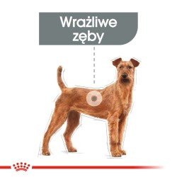 ROYAL CANIN CCN Medium Dental Care karma sucha dla psów dorosłych, ras średnich, redukująca powstawanie kamienia nazębnego 3 kg