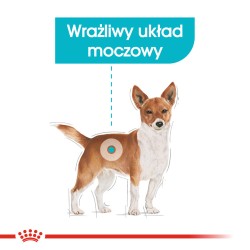 ROYAL CANIN Mini Urinary Care karma sucha dla psów dorosłych, ras małych, ochrona dolnych dróg moczowych 1 kg