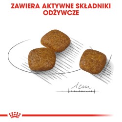 ROYAL CANIN Mini Urinary Care karma sucha dla psów dorosłych, ras małych, ochrona dolnych dróg moczowych 3 kg