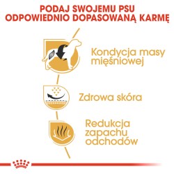 ROYAL CANIN French Bulldog Adult karma sucha dla psów dorosłych rasy buldog francuski 9 kg