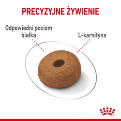 ROYAL CANIN Maxi Light Weight Care karma sucha dla psów dorosłych ras dużych, z tendencją do nadwagi 12kg