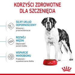 ROYAL CANIN Giant Junior karma sucha dla szczeniąt ras olbrzymich, od 8 do 18/24 miesiąca życia 15 kg