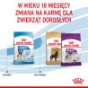 ROYAL CANIN Giant Junior karma sucha dla szczeniąt ras olbrzymich, od 8 do 18/24 miesiąca życia 15 kg
