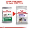ROYAL CANIN CCN Mini Sterilised karma sucha dla psów dorosłych ras małych, sterylizowanych 8kg