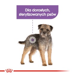 ROYAL CANIN CCN Mini Sterilised karma sucha dla psów dorosłych ras małych, sterylizowanych 8kg