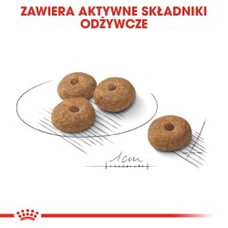 ROYAL CANIN CCN Mini Sterilised karma sucha dla psów dorosłych ras małych, sterylizowanych 3 kg