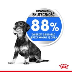 ROYAL CANIN Mini Light Weight Care karma sucha dla psów dorosłych ras małych, z tendencją do nadwagi 2x 8kg