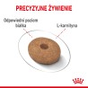 ROYAL CANIN Mini Light Weight Care karma sucha dla psów dorosłych ras małych, z tendencją do nadwagi 2x 8kg