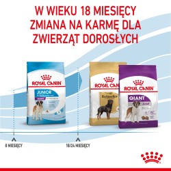 ROYAL CANIN Giant Junior karma sucha dla szczeniąt ras olbrzymich, od 8 do 18/24 miesiąca życia 2x 15kg
