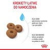 ROYAL CANIN Maxi Starter Mother & Babydog karma sucha dla suk w ciąży i okresie laktacji oraz szczeniąt ras dużych 2x 15kg