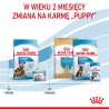 ROYAL CANIN Maxi Starter Mother & Babydog karma sucha dla suk w ciąży i okresie laktacji oraz szczeniąt ras dużych 2x 15kg