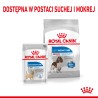 ROYAL CANIN Medium Light Weight Care karma sucha dla psów dorosłych ras średnich, z tendencją do nadwagi 12 kg