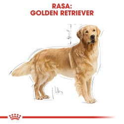 ROYAL CANIN Golden Retriever Adult karma sucha dla psów dorosłych rasy golden retriever 3 kg