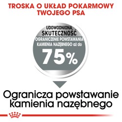 ROYAL CANIN Maxi Dental Care karma sucha dla psów dorosłych, ras dużych, redukująca powstawanie kamienia nazębnego 2x 9kg