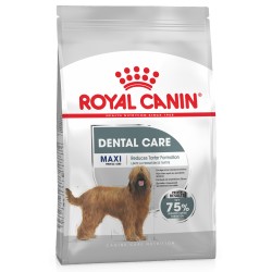 ROYAL CANIN Maxi Dental Care karma sucha dla psów dorosłych, ras dużych, redukująca powstawanie kamienia nazębnego 3 kg