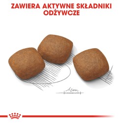 ROYAL CANIN CCN Maxi Joint Care karma sucha dla psów dorosłych, ras dużych, wspomagająca pracę stawów 2x 10 kg