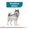 ROYAL CANIN CCN Maxi Joint Care karma sucha dla psów dorosłych, ras dużych, wspomagająca pracę stawów 3 kg