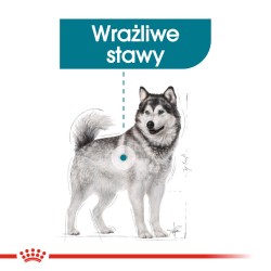 ROYAL CANIN CCN Maxi Joint Care karma sucha dla psów dorosłych, ras dużych, wspomagająca pracę stawów 10 kg