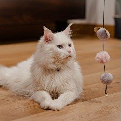 DINGO Wędka dla kota Glamour - Pompony