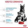 ROYAL CANIN Maxi Starter Mother & Babydog karma sucha dla suk w ciąży i okresie laktacji oraz szczeniąt ras dużych 4 kg