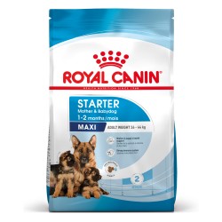 ROYAL CANIN Maxi Starter Mother & Babydog karma sucha dla suk w ciąży i okresie laktacji oraz szczeniąt ras dużych 4 kg