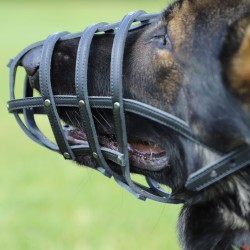 DINGO Skórzany kaganiec dla psa rasy:  Rottweiler – nitowany Rottweiler - mały