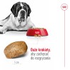 ROYAL CANIN Giant Adult karma sucha dla psów dorosłych, od 18/24 miesiąca życia, ras olbrzymich 15 kg