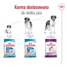 ROYAL CANIN Giant Adult karma sucha dla psów dorosłych, od 18/24 miesiąca życia, ras olbrzymich 15 kg