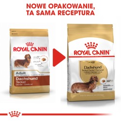ROYAL CANIN Dachshund Adult karma sucha dla psów dorosłych rasy jamnik 7,5kg