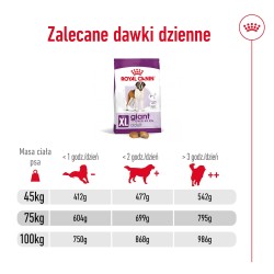 ROYAL CANIN Giant Adult karma sucha dla psów dorosłych, od 18/24 miesiąca życia, ras olbrzymich 15 kg