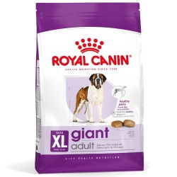 ROYAL CANIN Giant Adult karma sucha dla psów dorosłych, od 18/24 miesiąca życia, ras olbrzymich 15 kg
