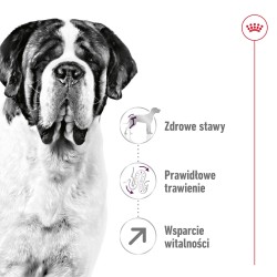 ROYAL CANIN Giant Adult karma sucha dla psów dorosłych, od 18/24 miesiąca życia, ras olbrzymich 2x 15kg
