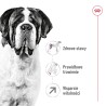 ROYAL CANIN Giant Adult karma sucha dla psów dorosłych, od 18/24 miesiąca życia, ras olbrzymich 2x 15kg