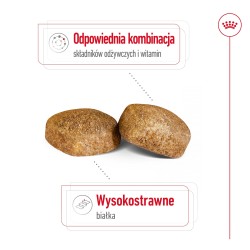 ROYAL CANIN Giant Adult karma sucha dla psów dorosłych, od 18/24 miesiąca życia, ras olbrzymich 2x 15kg