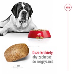 ROYAL CANIN Giant Adult karma sucha dla psów dorosłych, od 18/24 miesiąca życia, ras olbrzymich 2x 15kg