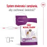 ROYAL CANIN Giant Adult karma sucha dla psów dorosłych, od 18/24 miesiąca życia, ras olbrzymich 2x 15kg