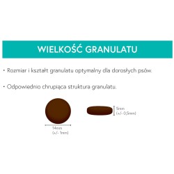 MEET MEAT Grain Free Dziczyzna z Batatami i Morwą 2x 12kg