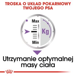 ROYAL CANIN Sterilised karma mokra - pasztet dla psów dorosłych, sterylizowanych 12x 85g