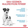 ROYAL CANIN Mini Starter Mother & Babydog karma sucha dla suk w ciąży i okresie laktacji oraz szczeniąt ras małych 1 kg