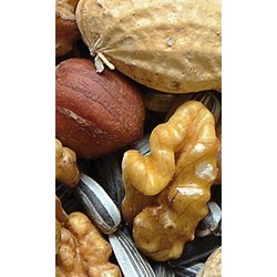 NATURAL-VIT Karma dla dzikich ptaków z orzechami 300g