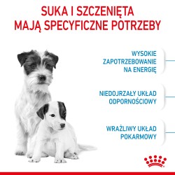 ROYAL CANIN Mini Starter Mother & Babydog karma sucha dla suk w ciąży i okresie laktacji oraz szczeniąt ras małych 2x 8kg