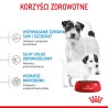 ROYAL CANIN Mini Starter Mother & Babydog karma sucha dla suk w ciąży i okresie laktacji oraz szczeniąt ras małych 2x 8kg