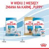 ROYAL CANIN Mini Starter Mother & Babydog karma sucha dla suk w ciąży i okresie laktacji oraz szczeniąt ras małych 2x 8kg