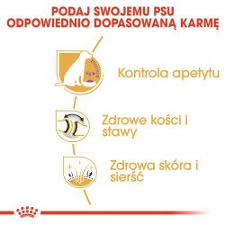 ROYAL CANIN Labrador Retriever Sterilised Adult karma sucha dla psów dorosłych, rasy labrador retriever, sterylizowanych 12kg