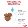 ROYAL CANIN Mini Starter Mother & Babydog karma sucha dla suk w ciąży i okresie laktacji oraz szczeniąt ras małych 4 kg
