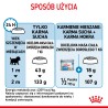 ROYAL CANIN Mini Starter Mother & Babydog karma sucha dla suk w ciąży i okresie laktacji oraz szczeniąt ras małych 4 kg