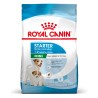 ROYAL CANIN Mini Starter Mother & Babydog karma sucha dla suk w ciąży i okresie laktacji oraz szczeniąt ras małych 4 kg