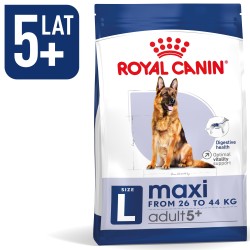 ROYAL CANIN Maxi Adult +5 karma sucha dla psów starszych ras dużych, od 5 do 8 roku życia 15 kg